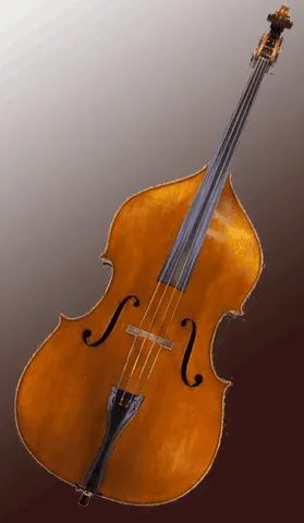 Double Bass Lessons