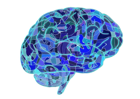 The Musical Mind